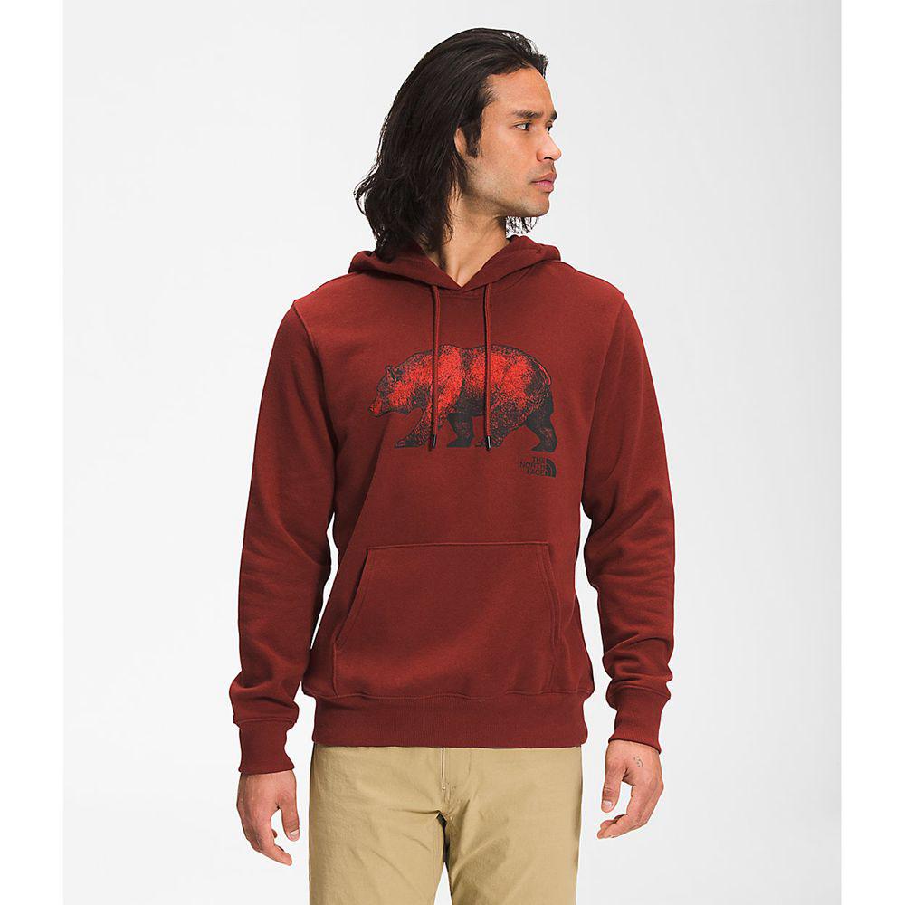 The North Face Tnf™ Bear Pullover Ανδρικα Φούτερ Hoodie - Κοκκινα (UEWI02871)